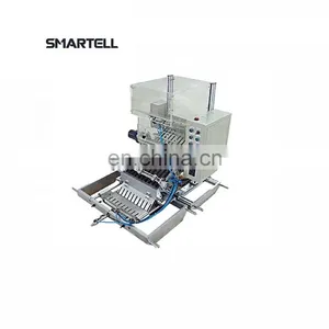 Automatic Syringe Pvc Blister Packing Machine High Speed Other Packaging Machines thumbnail-2