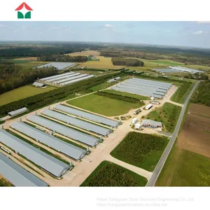 Full Automated Comlit Chicken House thumbnail-1