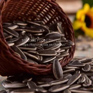 Sunflower Seeds thumbnail-1
