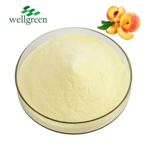 Wholesale Export New Batch Price Freeze Dried Pure Peach Concentrate Juice Powder thumbnail-1
