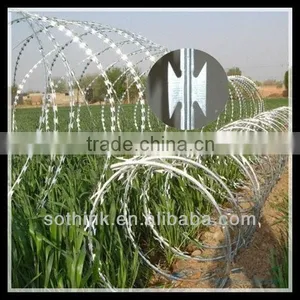 Galvanized Steel Coiled Barbed Wire(hot Sale) thumbnail-1