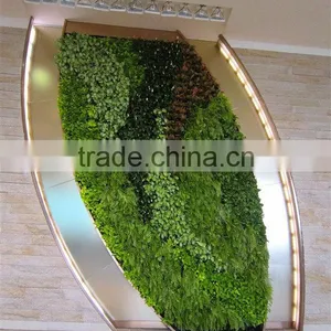 Yafei High Quality Artificial Grass Wall/artificial Green Wall/artificial Plant Decoration thumbnail-3