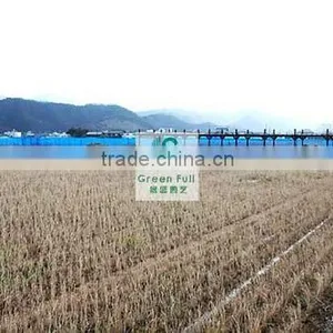 Strong HDPE Anti Wind Netting/anti Wind Net/windbreak Net thumbnail-3