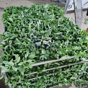 Cold Dryer 80 Trays Cooling Dehydration Fruit Drying Machine for Orange Blueberry Dry Peach Slice Dried Papaya Figs Making EPC thumbnail-5