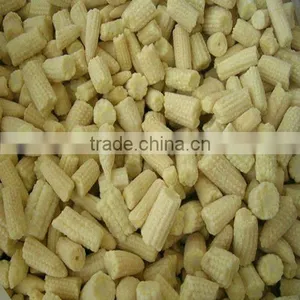 Fresh Canned Baby Corn Cuts thumbnail-1