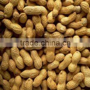 Roasted Peanuts thumbnail-1