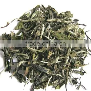 White Tea thumbnail-1