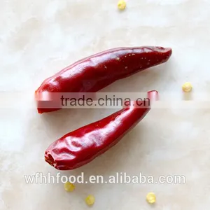 Tianying Small Chilli thumbnail-3
