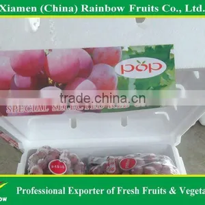 Global Grpaes/fresh Grapes Price thumbnail-2