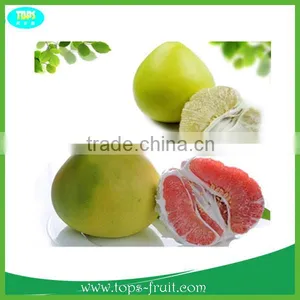 2015 Fresh Honey Pomelo thumbnail-1