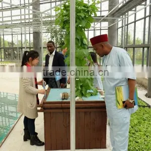 Hydroponic Frame , Hydroponic System,hydroponic for Greenhouse thumbnail-2