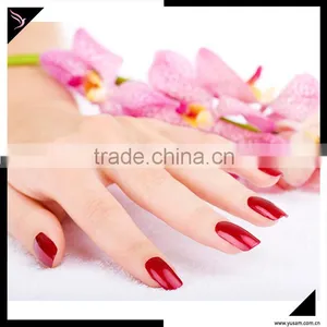 2016 Popular and Fashion 200 Colors Nail Polish for Lady Wholesales Comestic Nail Polish thumbnail-5