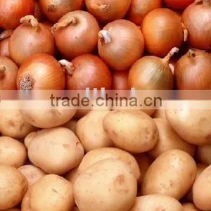 Fresh Onion / Potato thumbnail-1