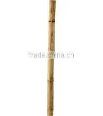 Cheap Price Bamboo Pole thumbnail-1