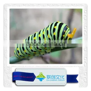 Robotic Insect, Lifelike Insect, Mechanical Insect thumbnail-3