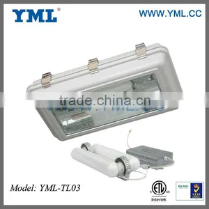 200w Freezing Or Extreme Cold Applications Induction Lamp Tunnel Lighting thumbnail-1