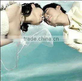 PET Backlit Film With Semi-Transparent thumbnail-1