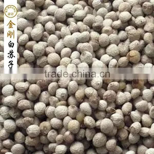 Perilla Seed for Birds/white Perilla Seed for Sale Supplier's Choice thumbnail-3