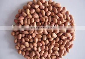 China Dried Peanut Kernel Baisha thumbnail-5