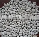 White Kidney Beans Long Shape thumbnail-1