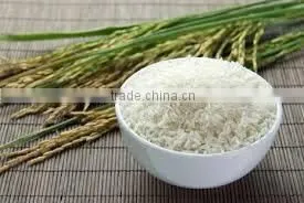 LONG WHITE RICE- VIETNAM RICE- LONG GRAIN RICE thumbnail-1