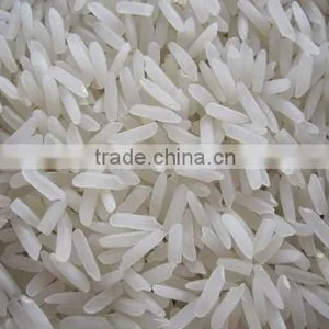 Rice thumbnail-1