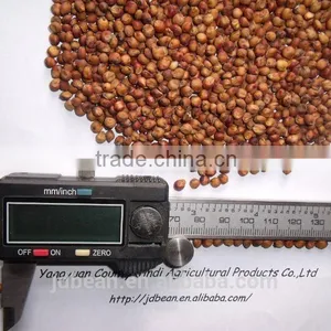 Glutinous Sweet Red Sorghum With High Starch thumbnail-5
