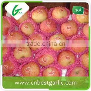 Honey Red Fuji Apples in Big Sizes thumbnail-1