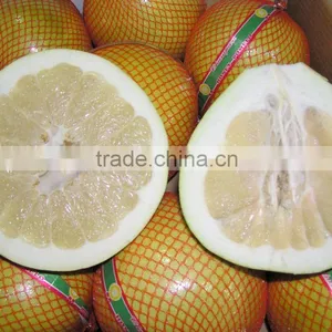 2015 China Original Fresh Honey Yellow Pomelo for Sale thumbnail-2