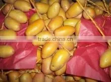 Fresh Dates for Sale thumbnail-1