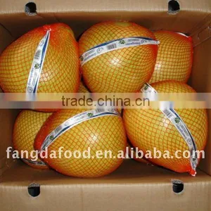 Fresh Pomelo Fruit/Honey Pomelo thumbnail-1