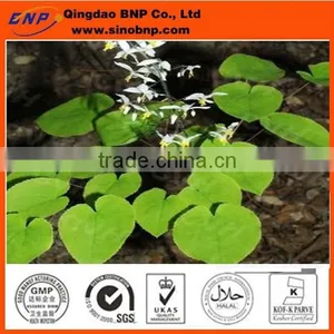 Hot Product Penis Herbal Medicine Horny Goat Weed Extract Horny Goat Weed Powder thumbnail-1