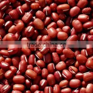 The Largest Supplier of Red Kidney Beans in China thumbnail-3
