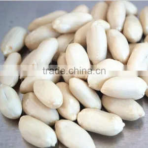 Shandong White Blanched Peanut Kernel thumbnail-2