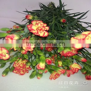 Pictures Fresh Cut Spray Carnation Flowers From Kunming Flower Planting Base thumbnail-3