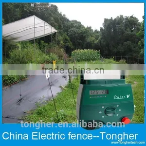 Electric Fences for Dog Animals thumbnail-6