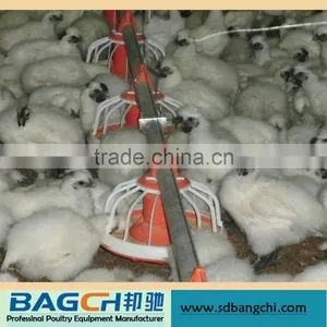 Bangchi Poultry Automatic Equipment Feeding and Drinking System thumbnail-2