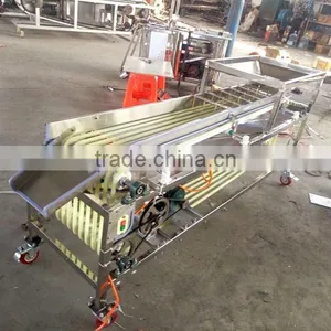 Date Grading Machine, Date Sorting Machine, Chinese Date Processing Machine thumbnail-4