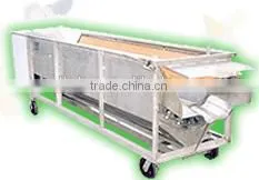 Automatic Radish Skin Peeler thumbnail-1