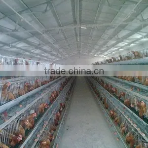Chiken Egg Poultry Farm Equipment/chicken Cage for Sale/automatic Chicken Layer Cage thumbnail-2