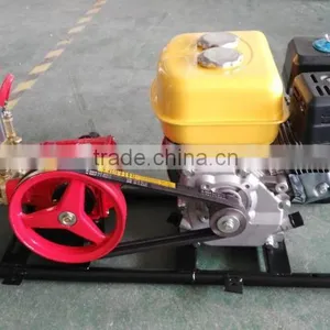 Kerosene Power Sprayer Diesel Power Sprayer thumbnail-4