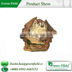 Outdoor Wooden Bird House thumbnail-1
