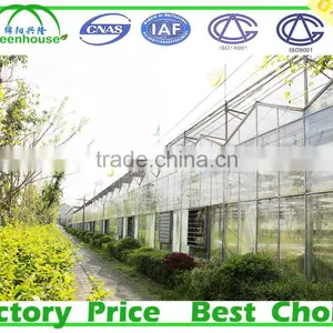 Used Commercial Glass Greenhouse for Sale thumbnail-1