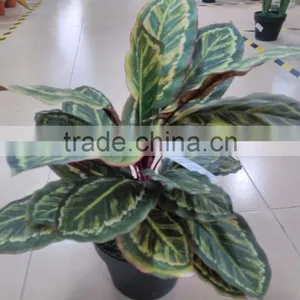 SJ12001162 Name Potted Decorative Foliage Plant Plastic Plant Indoor thumbnail-1
