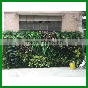Indoor Outdoor Artificial Green Wall thumbnail-1