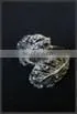 SF-R494 Metal Ring thumbnail-1