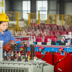 T-Young Electric Co, Ltd company overview - view 3 thumbnail