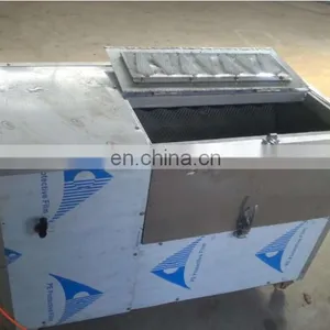 Electric Automatic Fish Scale Peeler Machine/Fish Scales Peeling Machine thumbnail-1