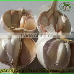 The Best Quality, Best Price, Best Exporters: 2015 Fresh Garlic! thumbnail-3