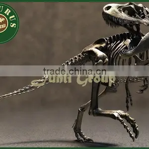 Lisaurus-I Dinosaur Skull Head Dinosaur Skull Puzzle for Dino Park Theme Park Dinosaur Skeleton Puzzles thumbnail-1